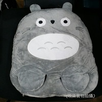 2018女朋友情人節禮物首選 ~ 龍貓卡通公仔USB暖腳Cushion